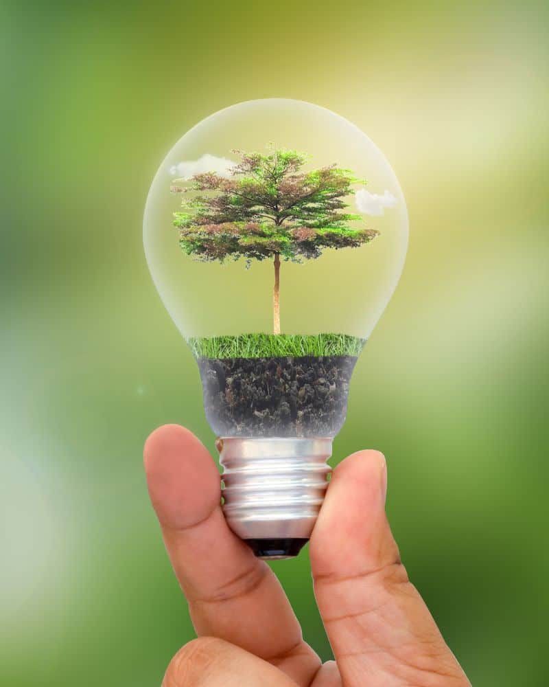 Erneuerbare Energien