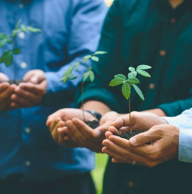 Erfolgsbeispiele EEG in Oberösterreich: Energiegemeinschaft Gusental