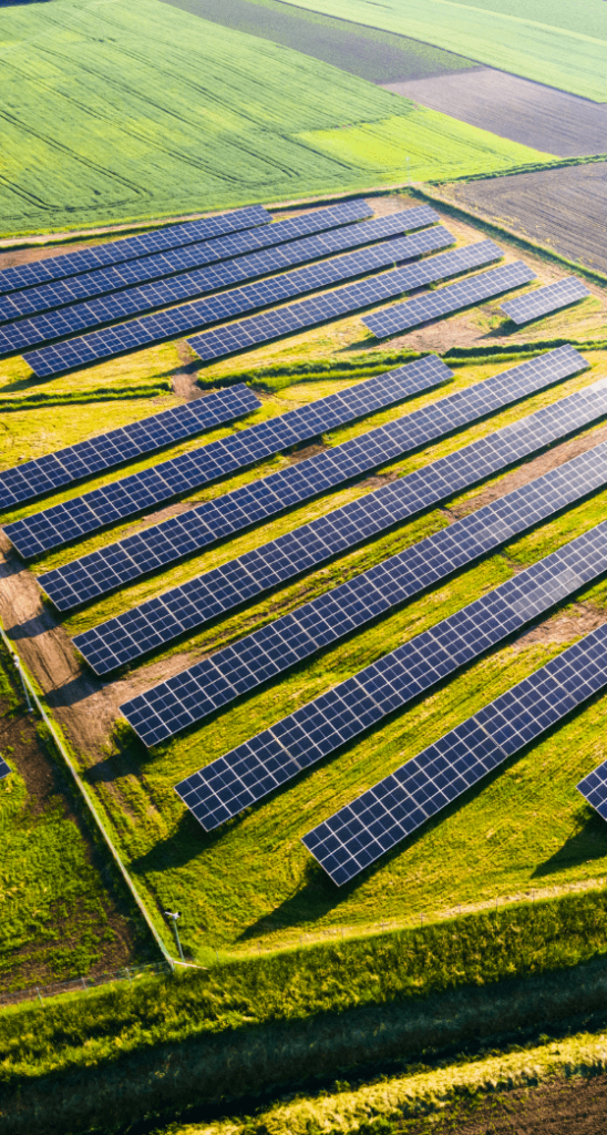 Fakten, die Sie über die häufigsten PV-Mythen wissen sollten