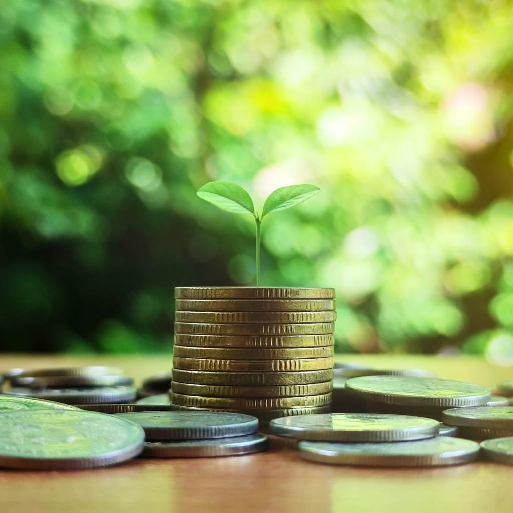 PV-Investition zahlt sich aus