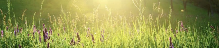 So läuft eine Energieberatung ab